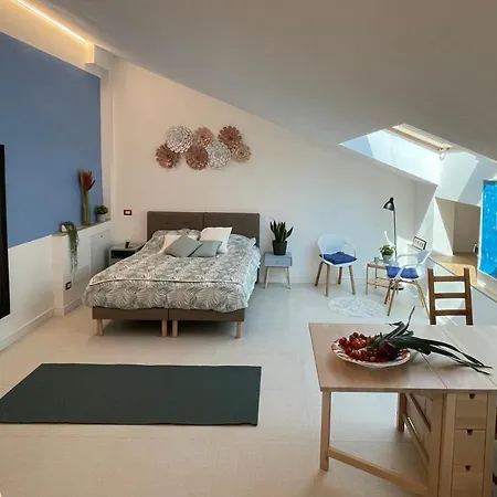 Stella House + Free Park Bed & Breakfast